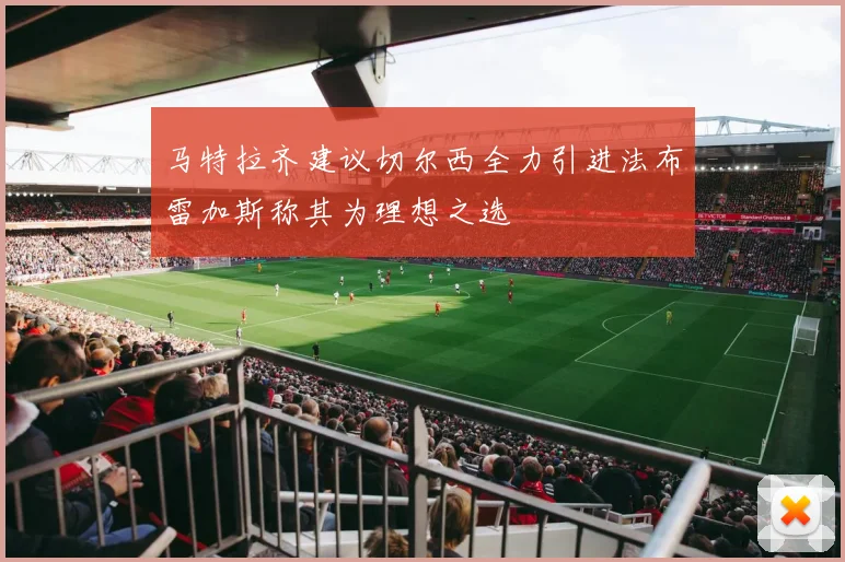 马特拉齐建议切尔西全力引进法布雷加斯称其为理想之选